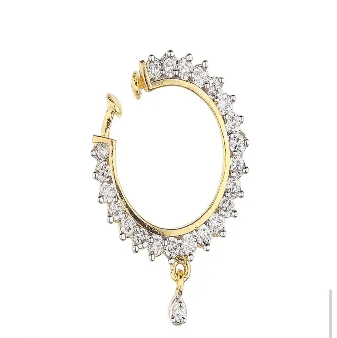 Elegant spring nose ring